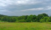 Randonnée Marche Sprimont - dans les bois au nord de Banneux - Photo 19