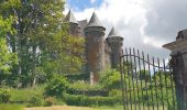 Randonnée Marche Laguiole - Soulagese Chateau du  ousquet - Photo 6