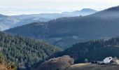 Tour Wandern Markirch - Marche l'après-midi - Photo 1