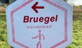 Tocht Stappen Dilbeek - Breugelwandelpad - Photo 2