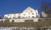 Percorso A piedi Stettfurt - Schloss Sonnenberg - Lommis - Thürn - Photo 4