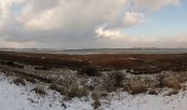 Trail On foot Texel - De Geul - Photo 2