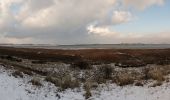 Tour Zu Fuß Texel - De Geul - Photo 2