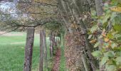 Trail Walking Blegny - A travers les champs de Blegny et ses environs  - Photo 5