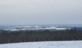 Tour Wandern Havelange - rando nettine 9/02/2021 - Photo 10