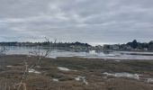 Trail Walking Vannes - PR_56_Vannes_BA_02_Les-Rives-De-Vannes_Circuit1b_20230203 - Photo 2