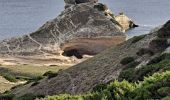 Tour Wandern Bonifacio - Grotte de Pertusatu - Photo 3