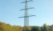 Tocht Te voet Wiesenbach - Rundwanderweg Am Sportplatz 2: Judenwald-Weg - Photo 8