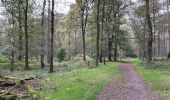 Excursión Senderismo Loon op Zand - Loonse Park Roestelberg 22,8 km - Photo 14