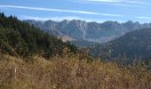 Tour Wandern Villard-de-Lans - VILLARD VALLON DE LA FAUGE - Photo 1