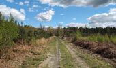 Tour Wandern Continvoir - Continvoir - GRP Coteaux de Bourgueil - Gizeux - 28.5km 345m 6h20 (1h) - 2025 04 17 - Photo 10