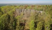 Excursión A pie Poppenhausen - Maulkuppe - Rhönrundweg 14 - Photo 5