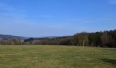 Tocht Stappen Stoumont - 20250309 - TOTEMUS RAHIER - - Photo 7