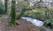 Trail Walking Caudan - PR_56_Caudan_AA_01_Tro-Glas-Kaodan_Circuit1b_20231112 - Photo 5