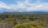 Excursión Senderismo La Motte - les demoiselles - Photo 10