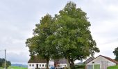 Trail On foot Waldkirchen am Wesen - 4/4-Blick-Runde - Photo 5