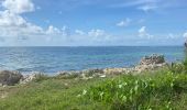 Trail Trail Sainte-Anne - Trace du prince  - Photo 2