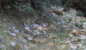 Excursión A pie Δημοτική Ενότητα Κυθήρων - M41 Mylopotamos Trail (long loop) - Photo 5