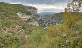Randonnée Marche Monieux - Gorges de la Nesque - Photo 14