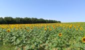 Randonnée Marche Aix-Villemaur-Pâlis - Chemins Forêts  Palis - Photo 1