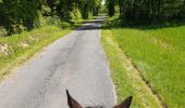 Trail Horseback riding Péron - Le près neuf  - Photo 3