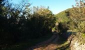 Trail Walking Larroque - Larroque en boucle - Photo 10