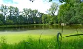 Tour Wandern Thuin - La Promenade du Bois du Prince - Abbaye d'Aulne - Photo 2