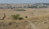 Trail Walking Burgos - Hornillos del Camino  - Photo 1
