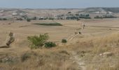 Randonnée Marche Burgos - Hornillos del Camino  - Photo 1