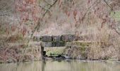 Percorso A piedi Bad Mergentheim - Schönbühler Weg - Photo 3