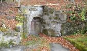 Percorso A piedi Forchheim - Forchheim-Weilersbach - Photo 2