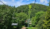 Tocht Stappen Vianden - 2023-06-19_15h21m20_eislek-pad-vianden-1 - Photo 14