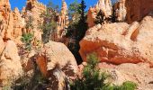 Excursión Senderismo Unknown - 2024 Bryce Canyon Queen's Trail - Photo 16