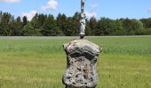 Tour Zu Fuß Steinwiesen - Schlegelshaider Höhenweg RT 23 - Photo 1