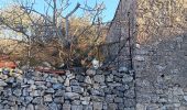 Trail Walking Leucate - plateau leucate - sud est  - Photo 4