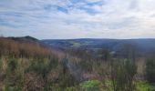 Tour Wandern Bertrix - rando auby sur semois 14-03-2024 - Photo 5