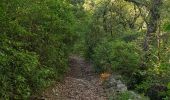 Trail Walking Cuges-les-Pins - cuges les pins le driou - Photo 9