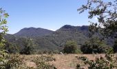 Excursión Bici de montaña Saint-Girons - st girons - Photo 1