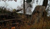 Trail Walking La Roche-en-Ardenne - le marais - Photo 8