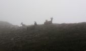 Randonnée Marche Gresse-en-Vercors - Le Grand Veymont - Photo 6