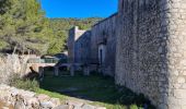 Tour Wandern Toulon - Le Faron centre  - Photo 4