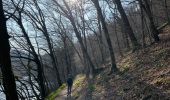 Tour Wandern Bouillon - Corbion  - Photo 6