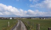 Tour Wandern Libramont-Chevigny - rando bras-bas 19/03/2021 - Photo 18