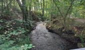 Tour Wandern Oberehnheim - 240626 - Obernai - VVF-ParcSanté.Ehm - Photo 2