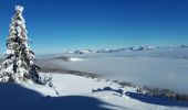 Tour Schneeschuhwandern Lans-en-Vercors - Circuit les Aigaux / Charande - Photo 10
