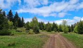 Trail Walking Grendelbruch - Tour du petit Rosskopf & piton du Falkenstein - Photo 12