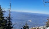 Tour Wandern Autrans-Méaudre en Vercors - La Cheminée - Photo 2