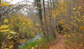 Tocht Stappen Ham-sur-Heure-Nalinnes - Balade à Cours-sur-Heure - Photo 6