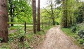 Trail Walking Haacht - Haecht - Photo 2