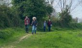 Trail Walking Ottignies-Louvain-la-Neuve - #240412 - 3 bois : de Bustons, des Corbeaux et des Volontaires (courte) - Photo 5